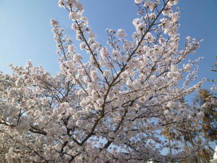 4月